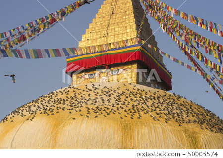 Boudhanath Stupa in Kathmandu, Nepal Boudhanath Stupa in Kathmandu, Nepal 50005574