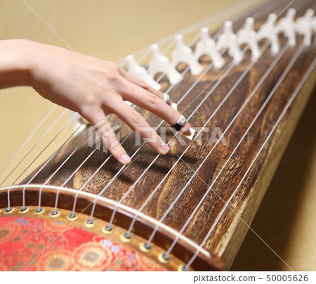 Koto performance 50005626