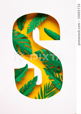 letter s cut from paper with tropical palm leaves 50005710