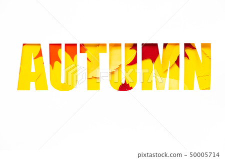 letter autumn cut from paper with paper autumn 50005714