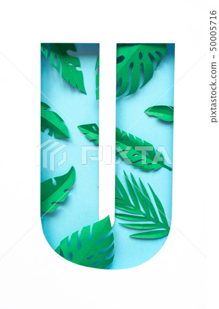 letter u cut from paper with tropical palm leaves 50005716