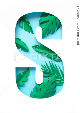 letter s cut from paper with tropical palm leaves 50005718
