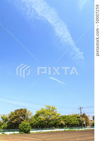 場（春天） 50007259