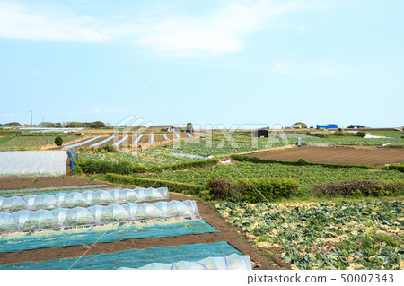 Field (spring) Field (spring) 50007343