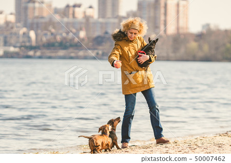 Subject lot pets, dog lover on walk. Adult, old elderly Caucasian woman with three dogs breed 50007462