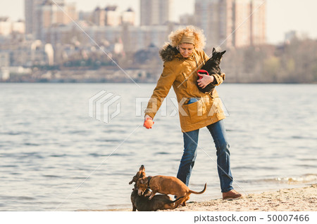 Subject lot pets, dog lover on walk. Adult, old elderly Caucasian woman with three dogs breed 50007466