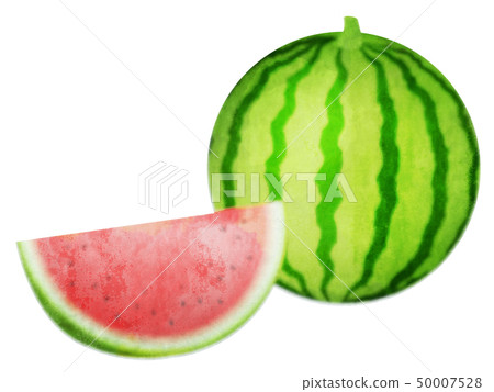 西瓜 西瓜 50007528