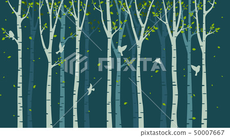 Birch Tree With Birds Silhouette Background Stock Ilration 50007667 Pixta Birch Tree With Birds Silhouette, Birch Tree Background Clipart