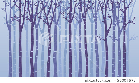 Birch tree silhouette on blue background Birch tree silhouette on blue background 50007673