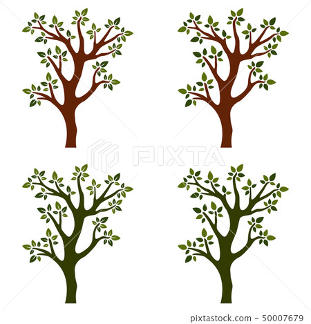 Trees isolated on white background Trees isolated on white background 50007679