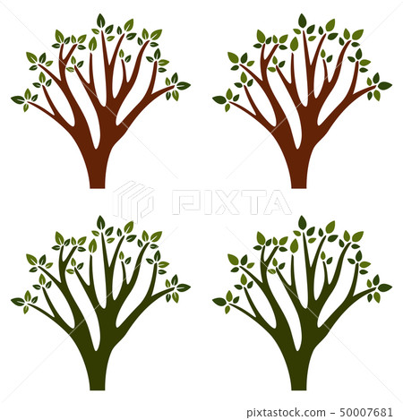 Trees isolated on white background Trees isolated on white background 50007681