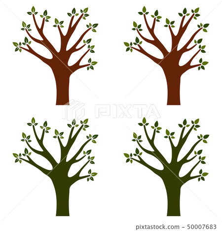 Trees isolated on white background Trees isolated on white background 50007683