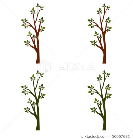 Trees isolated on white background Trees isolated on white background 50007685