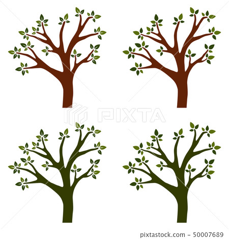 Trees isolated on white background Trees isolated on white background 50007689