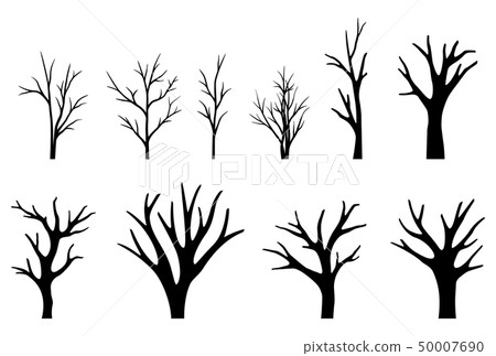 Collection of trees silhouettes on white backgroun Collection of trees silhouettes on white backgroun 50007690