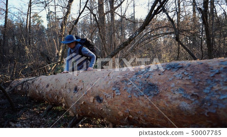 Young woman tourist with a backpack steps over a fallen tree in the forest with a backpack. Theme Young woman tourist with a backpack steps over a fallen tree in the forest with a backpack. Theme 50007785