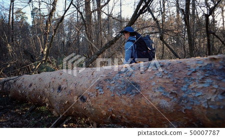 Young woman tourist with a backpack steps over a fallen tree in the forest with a backpack. Theme Young woman tourist with a backpack steps over a fallen tree in the forest with a backpack. Theme 50007787