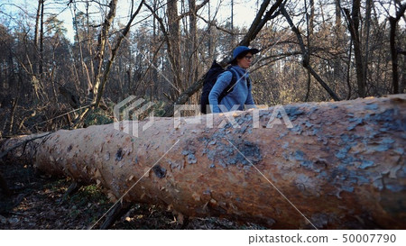 Young woman tourist with a backpack steps over a fallen tree in the forest with a backpack. Theme Young woman tourist with a backpack steps over a fallen tree in the forest with a backpack. Theme 50007790