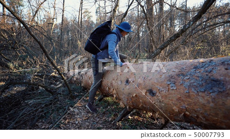 Young woman tourist with a backpack steps over a fallen tree in the forest with a backpack. Theme Young woman tourist with a backpack steps over a fallen tree in the forest with a backpack. Theme 50007793
