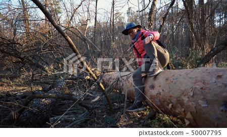 Young woman tourist with a backpack steps over a fallen tree in the forest with a backpack. Theme Young woman tourist with a backpack steps over a fallen tree in the forest with a backpack. Theme 50007795