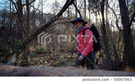Young woman tourist with a backpack steps over a fallen tree in the forest with a backpack. Theme Young woman tourist with a backpack steps over a fallen tree in the forest with a backpack. Theme 50007863