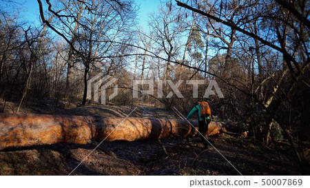 A young male tourist with a backpack steps over a fallen tree in the forest with a backpack. Theme A young male tourist with a backpack steps over a fallen tree in the forest with a backpack. Theme 50007869