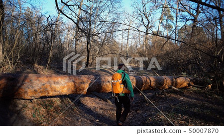 A young male tourist with a backpack steps over a fallen tree in the forest with a backpack. Theme A young male tourist with a backpack steps over a fallen tree in the forest with a backpack. Theme 50007870