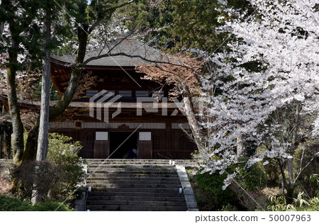 Spring of Mitsui's Temple Spring of Mitsui's Temple 50007963