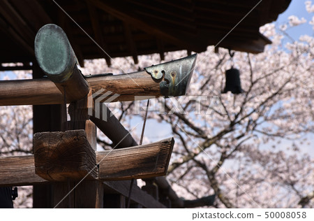 The cherry blossoms of the Mitsuki temple in spring 50008058