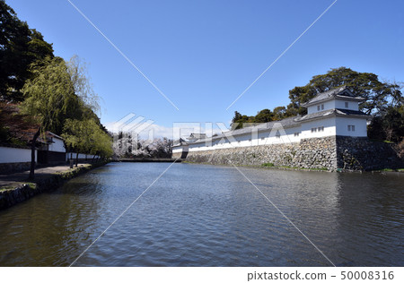 Spring Hikone Castle Tamonari Spring Hikone Castle Tamonari 50008316