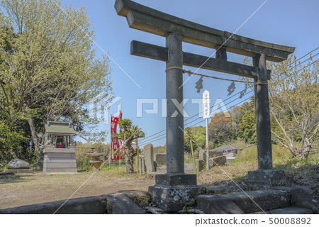 八雲神社的Inari公司（Kanakura City Yamanouchi） 50008892