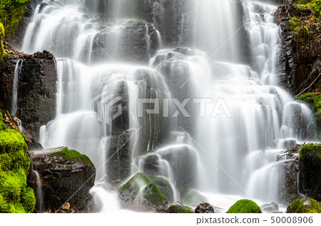 Fairy Falls in the Columbia River Gorge, USA Fairy Falls in the Columbia River Gorge, USA 50008906