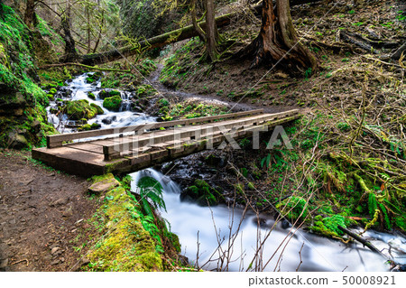 Wahkeena Creek in the Columbia River Gorge, USA Wahkeena Creek in the Columbia River Gorge, USA 50008921