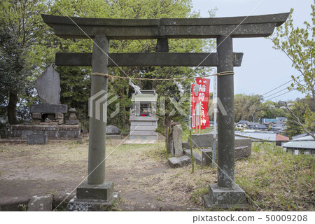 八雲神社的Inari公司(Kanakura City Yamanouchi) 八雲神社的Inari公司(Kanakura City Yamanouchi) 50009208