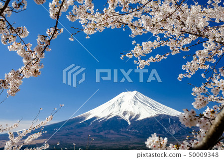 Spring image of Japan Spring image of Japan 50009348