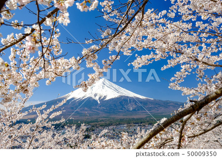 Spring image of Japan Spring image of Japan 50009350
