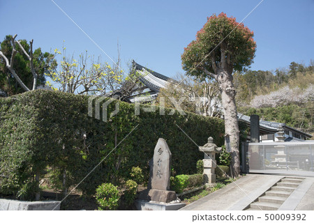Engakuji Temple Tower Shiraunan (Kamakura City Yamanouchi) Engakuji Temple Tower Shiraunan (Kamakura City Yamanouchi) 50009392