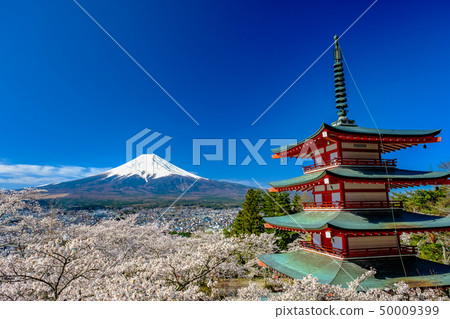 Spring image of Japan Shin Kurayama Asama Park Spring image of Japan Shin Kurayama Asama Park 50009399