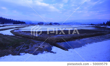Snow scene Snow scene 50009579