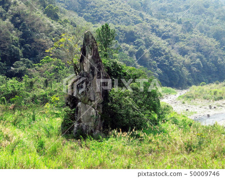 Hsinchu City Historic Site Zongmiao Folk Customs Hsinchu City Historic Site Zongmiao Folk Customs 50009746