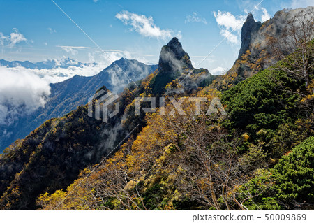 Autumn colored Tengu ridge and Gongendake seen from the downturn of Yatsugatake mountain range and Shinkyo-dera ridge Autumn colored Tengu ridge and Gongendake seen from the downturn of Yatsugatake mountain range and Shinkyo-dera ridge 50009869