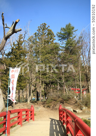 在Ryoryu公園的Benten橋樑 50010192