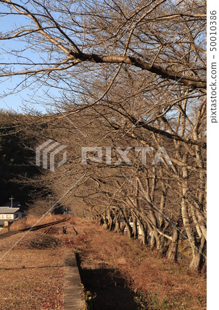 Third Sector Yodogawa Railway Seiryu Shin Iwakuni Station Third Sector Yodogawa Railway Seiryu Shin Iwakuni Station 50010386