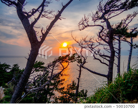 [Izu Peninsula Geopark] Evening view of Nishiizu Koganezaki [Summer] 50010700