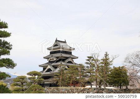 National treasure · Matsumoto Castle (Nagano Prefecture) National treasure · Matsumoto Castle (Nagano Prefecture) 50010759