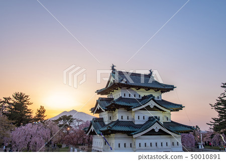 Aomori Hirosaki Castle Cherry blossoms in full bloom over the castle 50010891