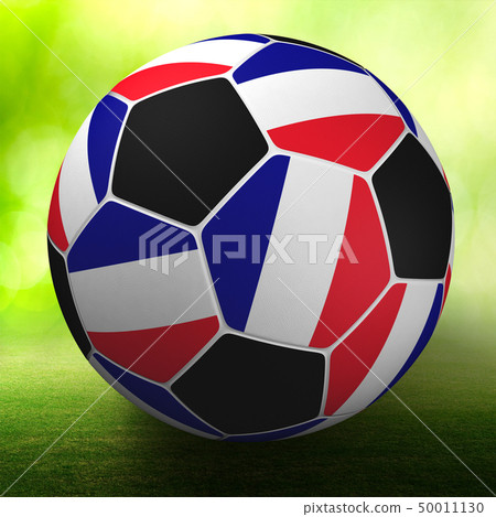 France soccer ball 50011130