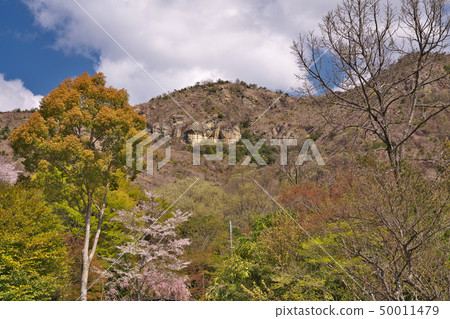 [Kashima Shrine Takanosu Cliff] Chitoku, Amida Town, Takasago City, Hyogo Prefecture 50011479