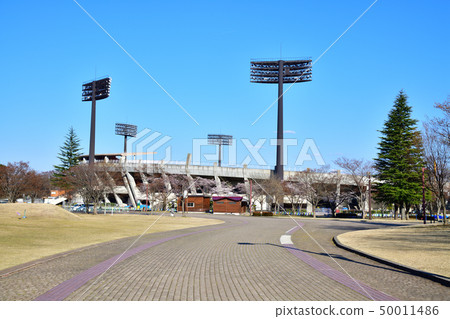 福島縣Yazuma體育場 50011486