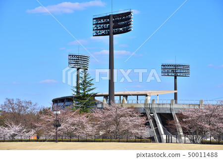 福島縣Yazuma體育場 50011488